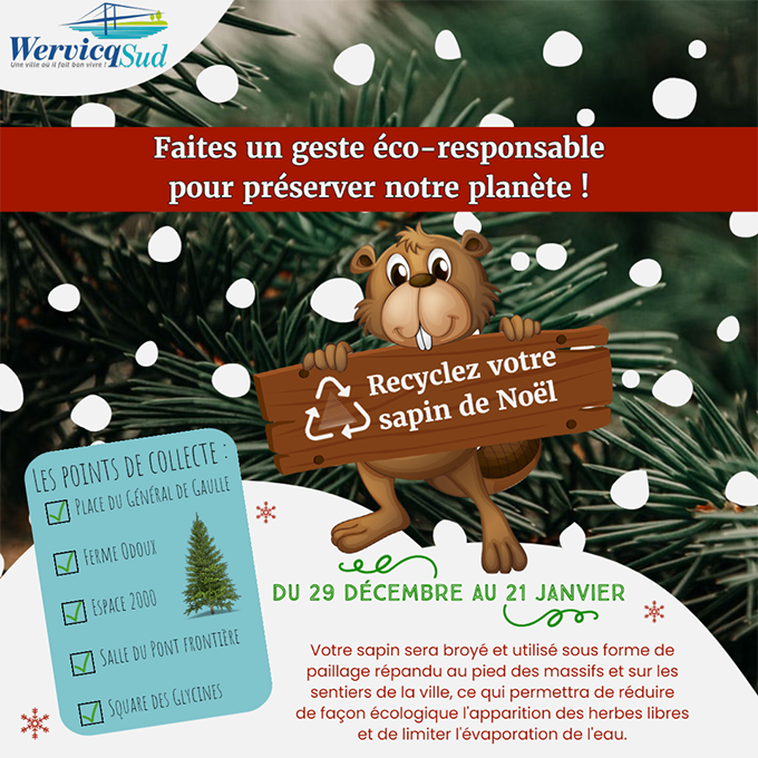 Collecte de vos sapins de Noël Naturels pour un geste éco-responsable